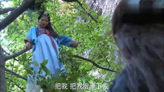 影视：女子坠崖被挂在树上一夜，第二天被人说