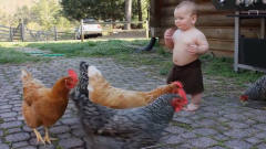 宝宝正在喂鸡，下一秒的动作太逗了，镜头拍下