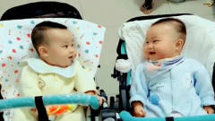 双胞胎宝宝飙“婴语”说笑，妈妈听得一脸懵，