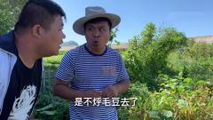 小虎为了抓偷毛豆的，自己扮成稻草人，整个过