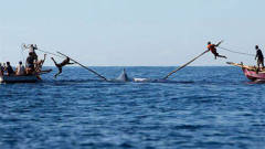 最后的传统捕鲸者，靠一把鱼叉捕杀鲸鱼，一年