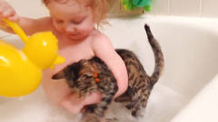 小宝宝非要抓着家里的猫咪一起洗澡，就看猫咪
