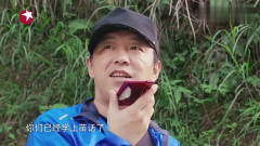 极限挑战：别让黄渤和罗志祥在一起，一展语言