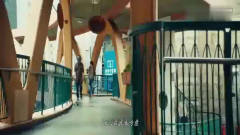 港囧：吃鸡玩多了徐峥头戴三级盔出门, 引领今夏