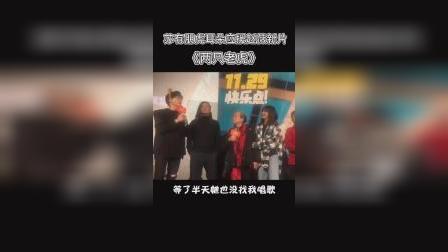 电影两只老虎首映礼，小燕子五阿哥容嬷嬷尔泰