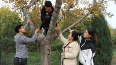 老师带同学玩捉迷藏，没想男同学藏到了树上！