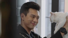 亲爱的热爱的：韩商言逗猫，问致命题：猫咪可