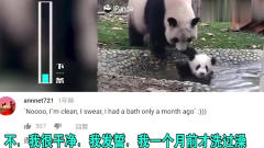 老外看中国熊猫妈妈强迫宝宝洗澡，国外网友的