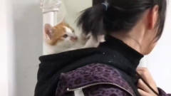 第一次见这么逗猫的，长知识了，猫：我能玩一