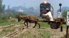 印度大叔赶毛驴过轨道，眼看火车到跟前了，毛
