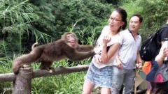【每日一囧】被妈妈逼着去和猴子拍照后…这是