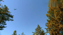 我的娜塔莎：四个伞兵跳伞，就小伙被挂树上，