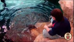 小企鹅第一次下水，下水的瞬间太搞笑了