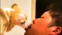搞笑视频：这是单身狗碰见了单身狗，一吻定情