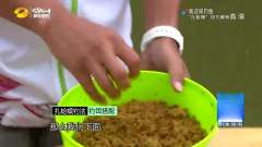 就这样钓鱼：为了能让饵料经得住逗钓，打粘是