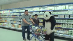 四川话爆笑配音，暴躁熊猫在线怼人，方言魔性