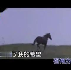 歌声飘过三十年 罗文-在我生命里 一人一首成名