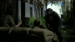 两名小伙逗大猩猩玩，没想到被它夺过了机枪，