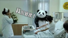 四川方言爆笑：暴躁熊猫在线怼人，输液管都给